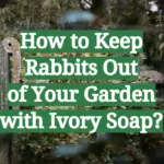 How to Keep Rabbits Out of Your Garden with Ivory Soap