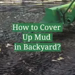 How to Cover Up Mud in Backyard?