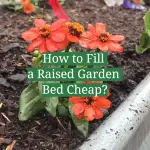 How to Fill a Raised Garden Bed Cheap?