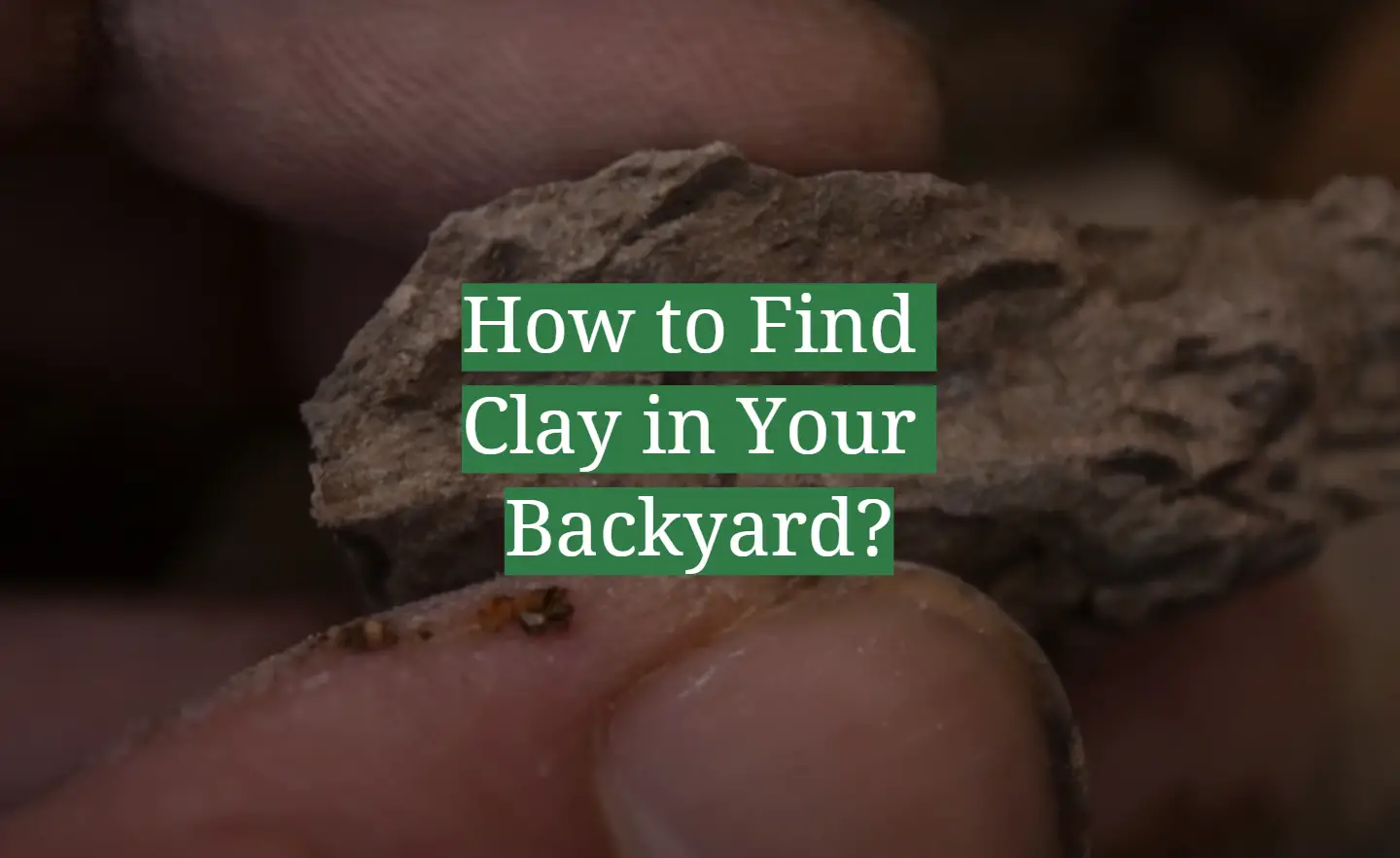 How to Find Clay in Your Backyard?