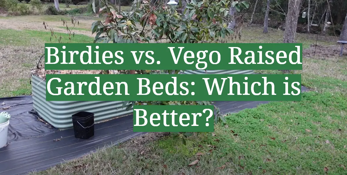 Birdies vs. Vego Raised Garden Beds: Which is Better?
