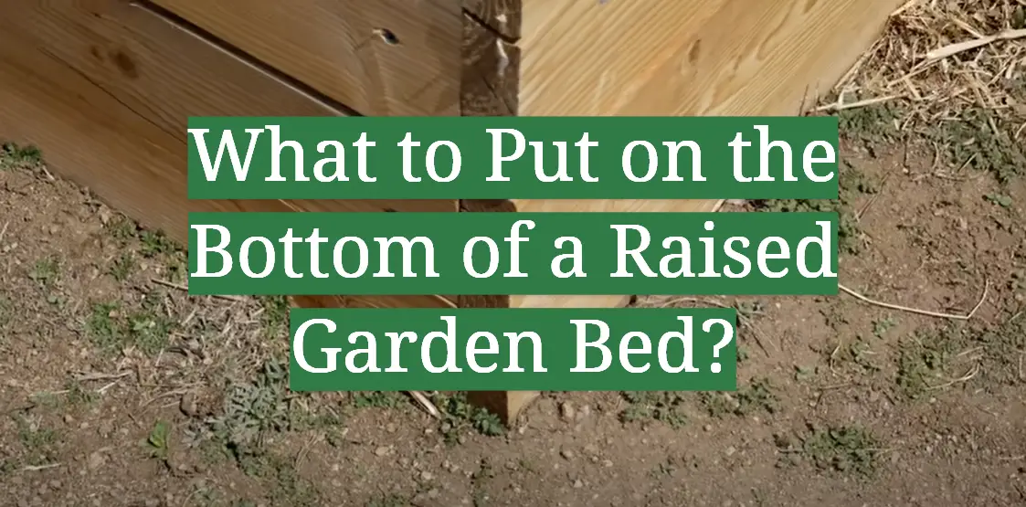 What to Put on the Bottom of a Raised Garden Bed?