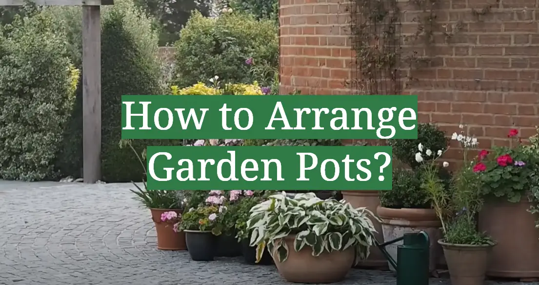 How to Arrange Garden Pots?