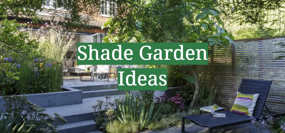 Shade Garden Ideas