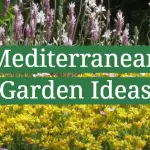 Mediterranean Garden Ideas