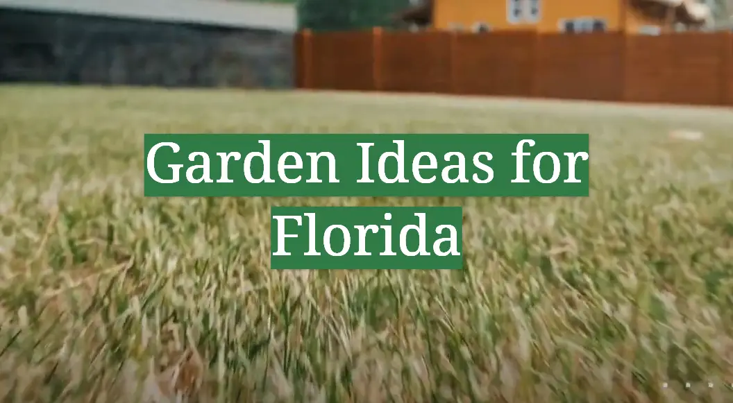 Garden Ideas for Florida