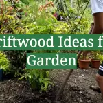 Driftwood Ideas for Garden