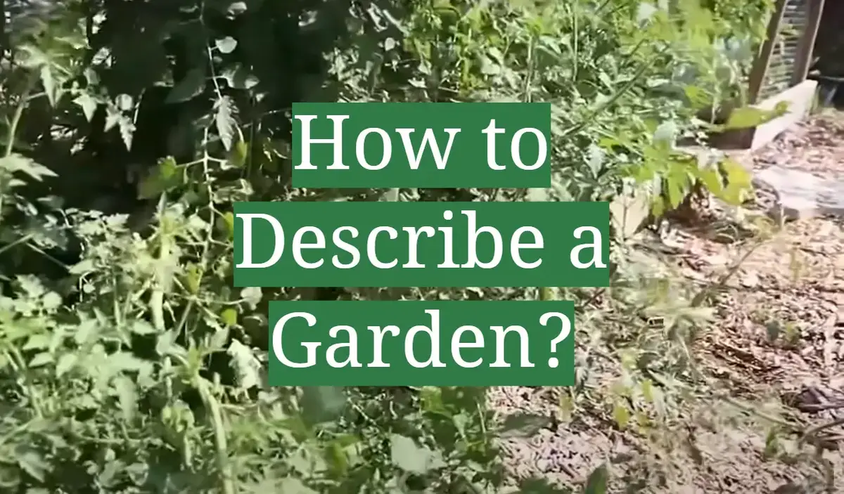 essay describing a garden