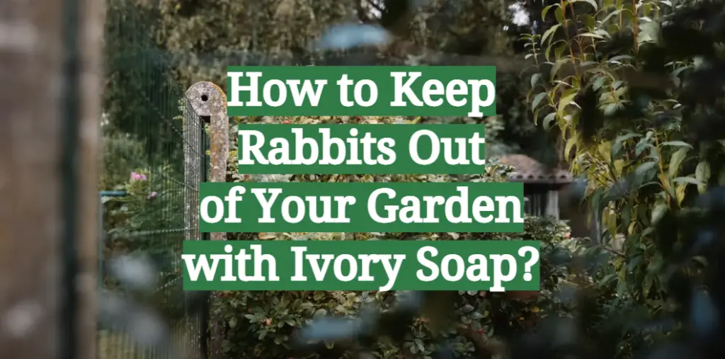 How to Keep Rabbits Out of Your Garden with Ivory Soap? GardenProfy