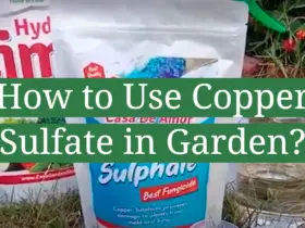 How to Use Copper Sulfate in Garden?