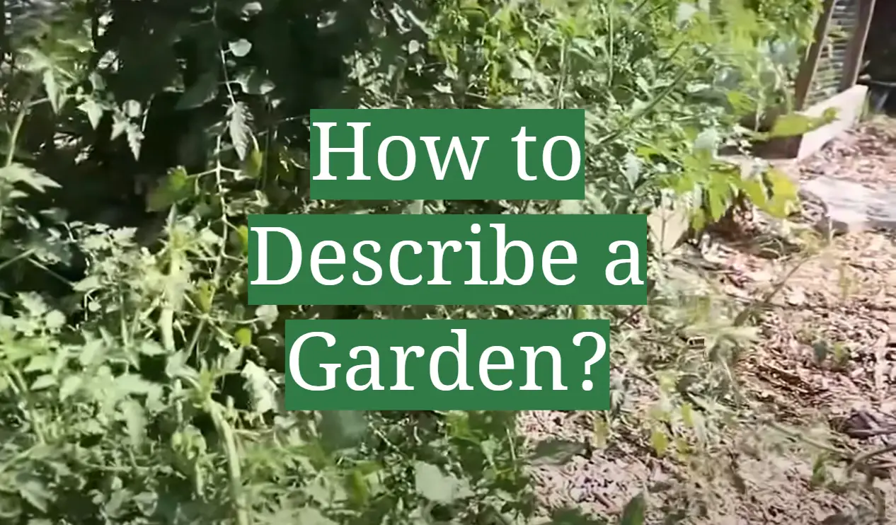 how to describe a garden in creative writing examples