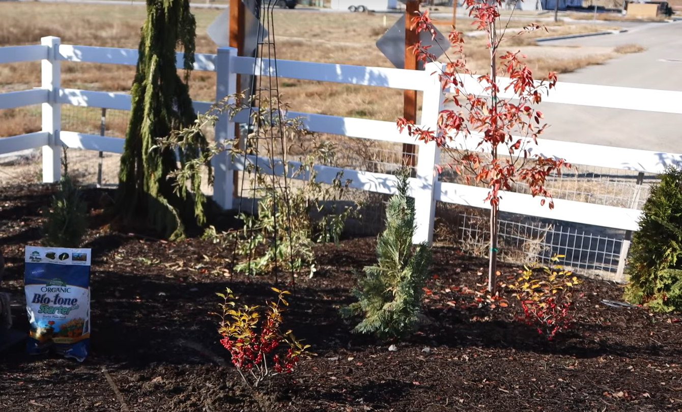 When Is It Too Late to Plant a Garden? GardenProfy