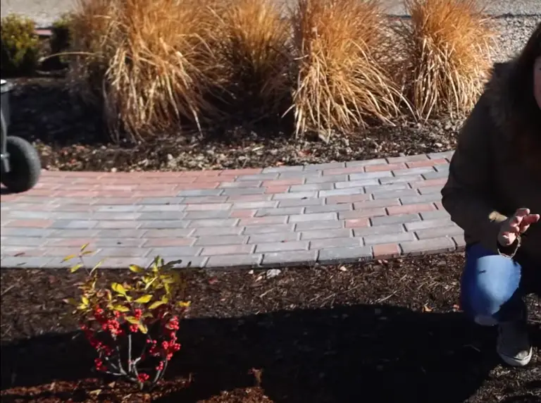 When Is It Too Late to Plant a Garden? GardenProfy