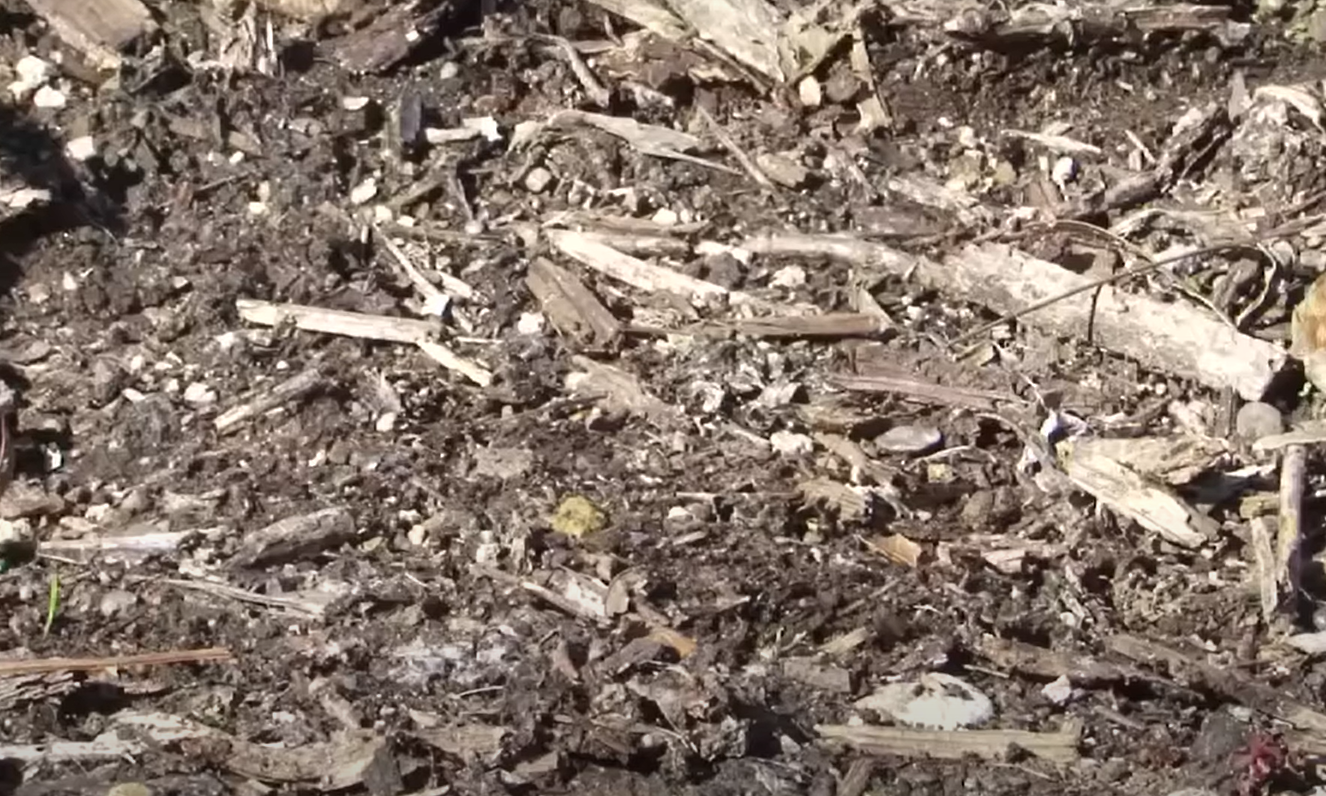 How to Use Preen in Vegetable Garden? GardenProfy