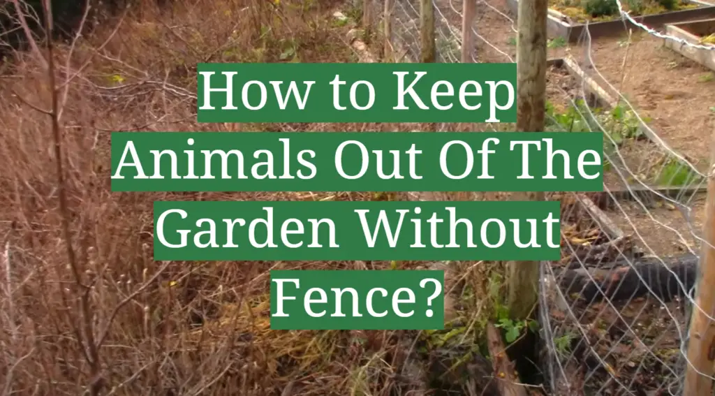 How to Keep Animals Out Of The Garden Without Fence? GardenProfy