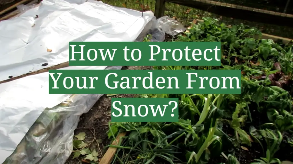 How to Protect Your Garden From Snow? - GardenProfy