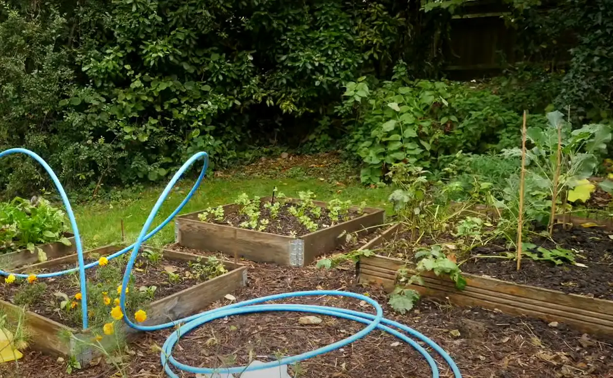 How Can Cold Weather Affect Plants in a Garden? GardenProfy