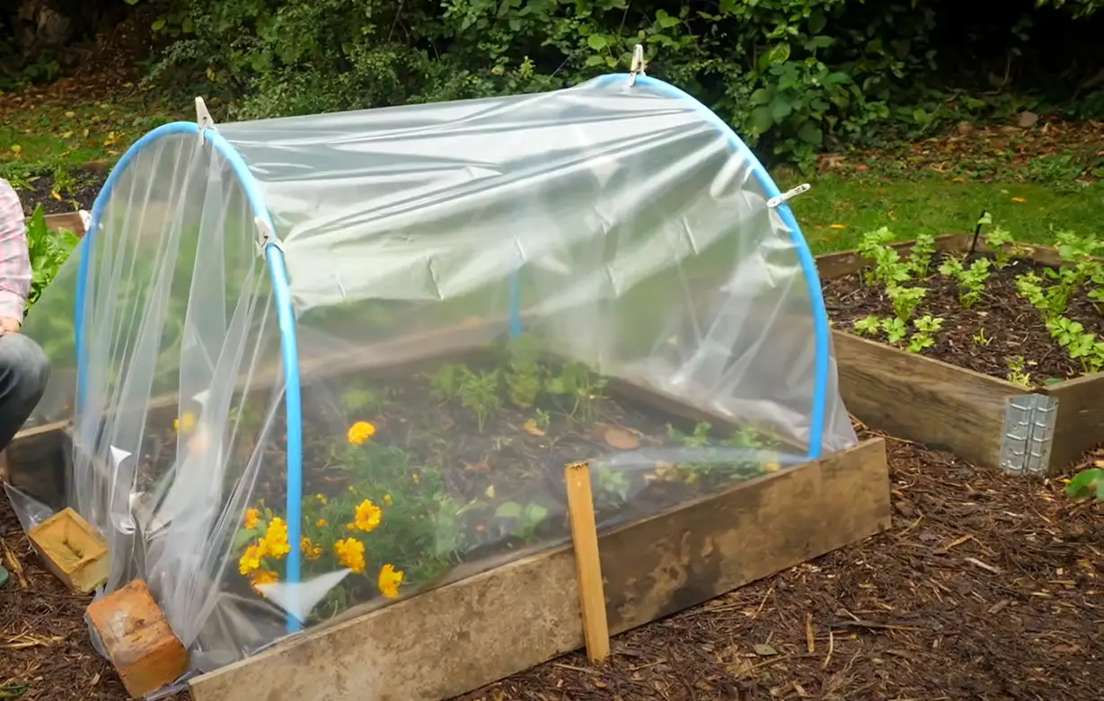 How Can Cold Weather Affect Plants in a Garden? GardenProfy