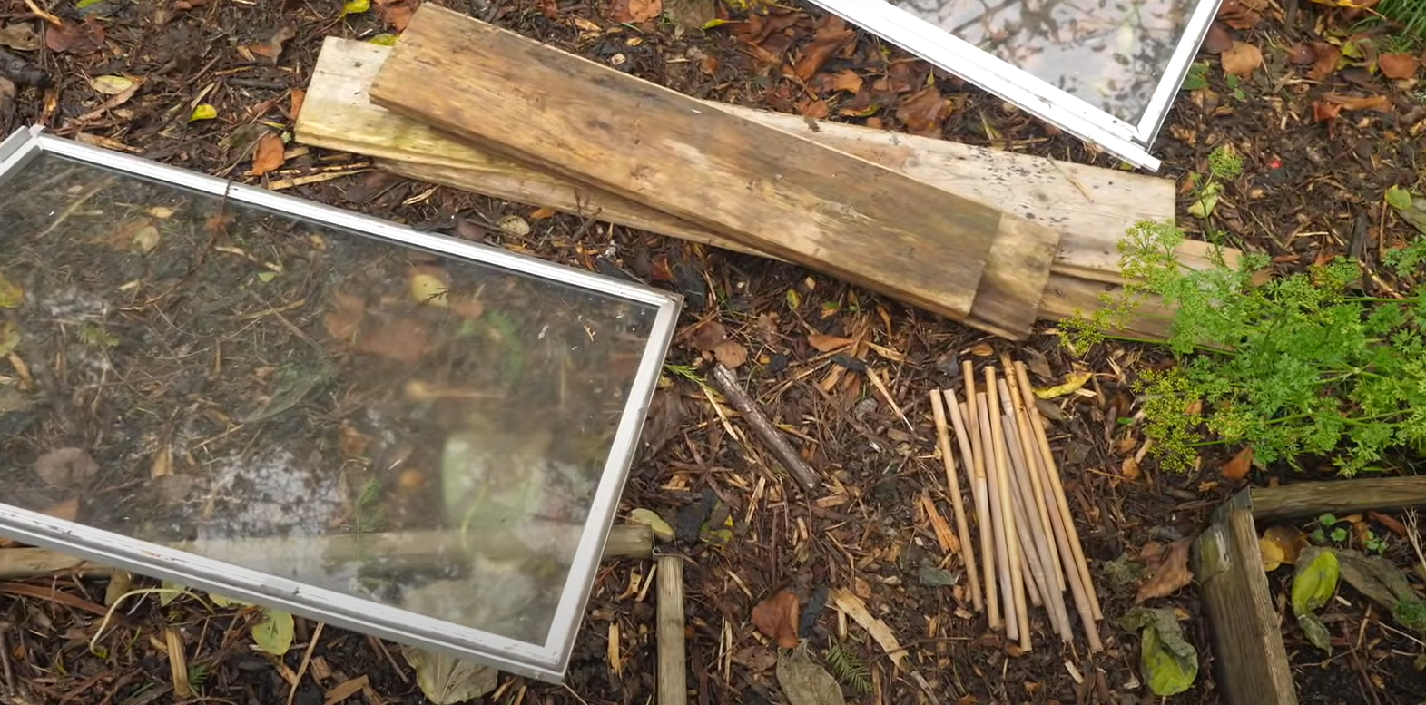 How Can Cold Weather Affect Plants in a Garden? GardenProfy