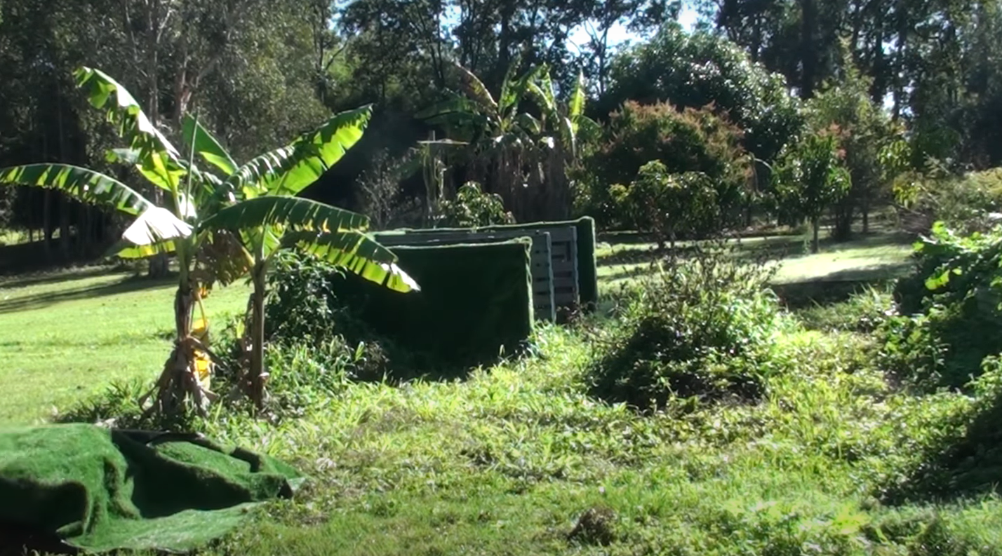 How to Get Rid Of Grass in Vegetable Garden? GardenProfy