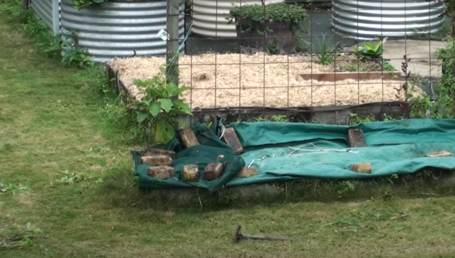 How to Get Rid Of Grass in Vegetable Garden? GardenProfy