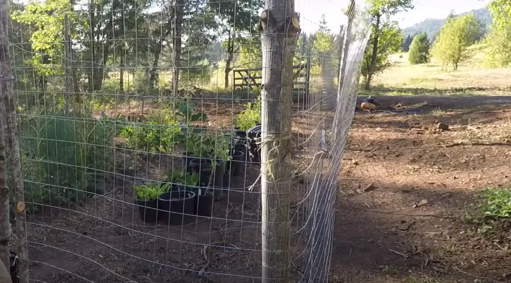 Double Layer Anti-Deer Fencing