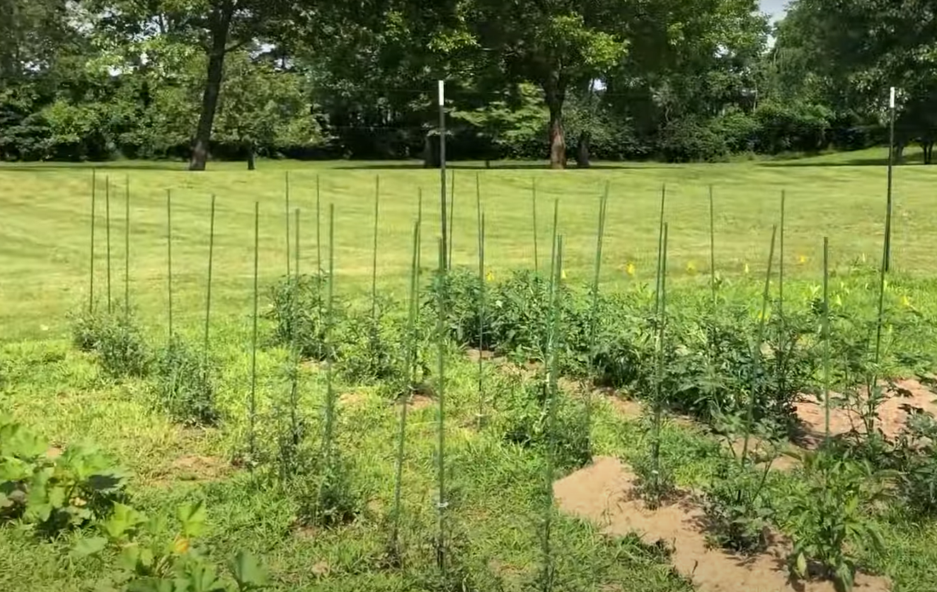 How to Keep Deer Out of Garden Fishing Line? GardenProfy