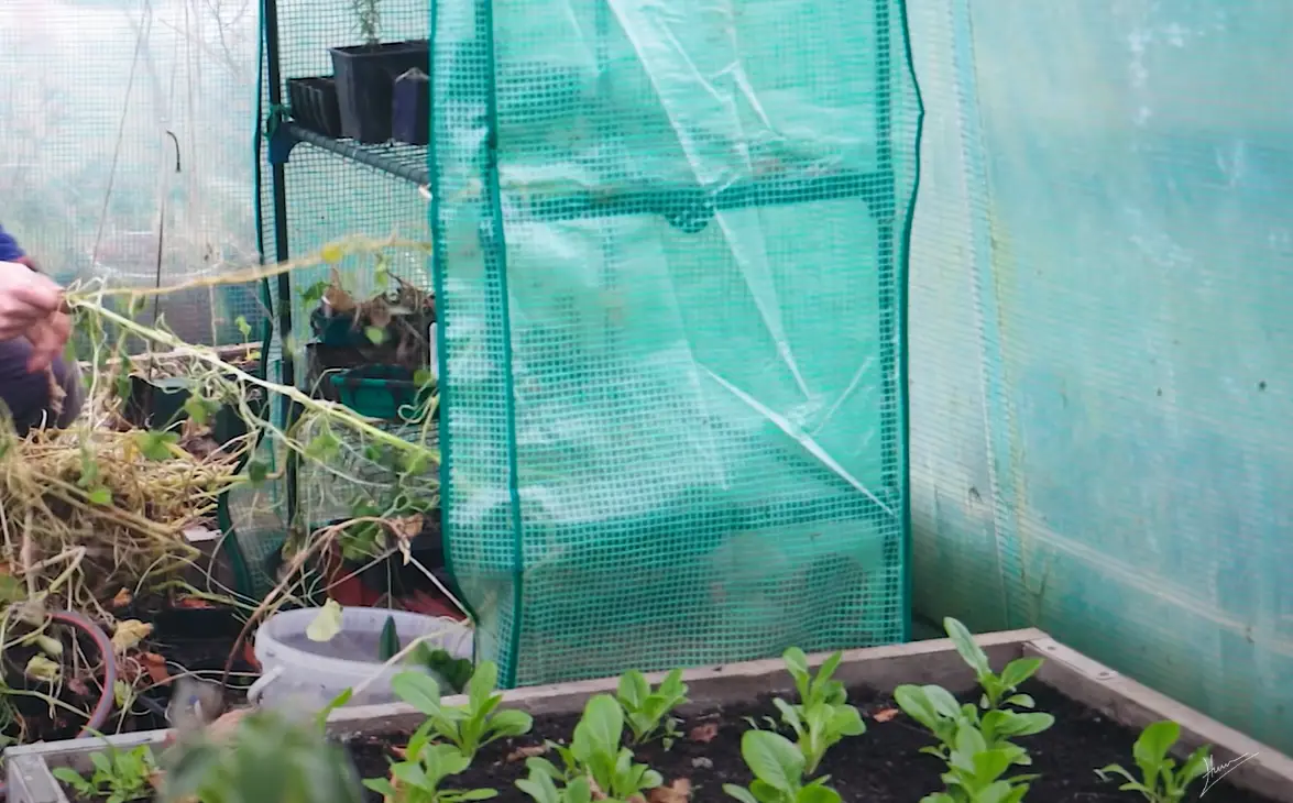 How to Prepare Your Garden for Winter? GardenProfy