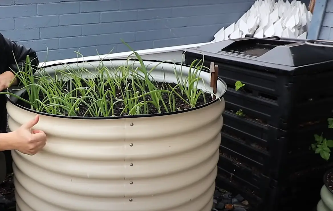 How to Protect Vegetable Garden From Heavy Rain? GardenProfy