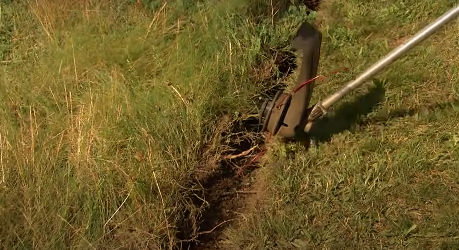 How to Stop Grass From Growing in a Garden? GardenProfy