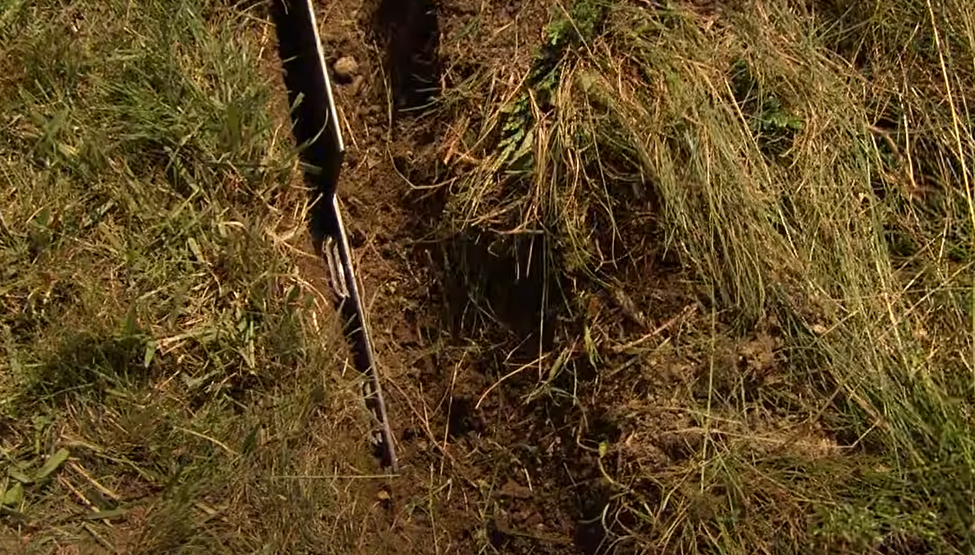 How to Stop Grass From Growing in a Garden? GardenProfy