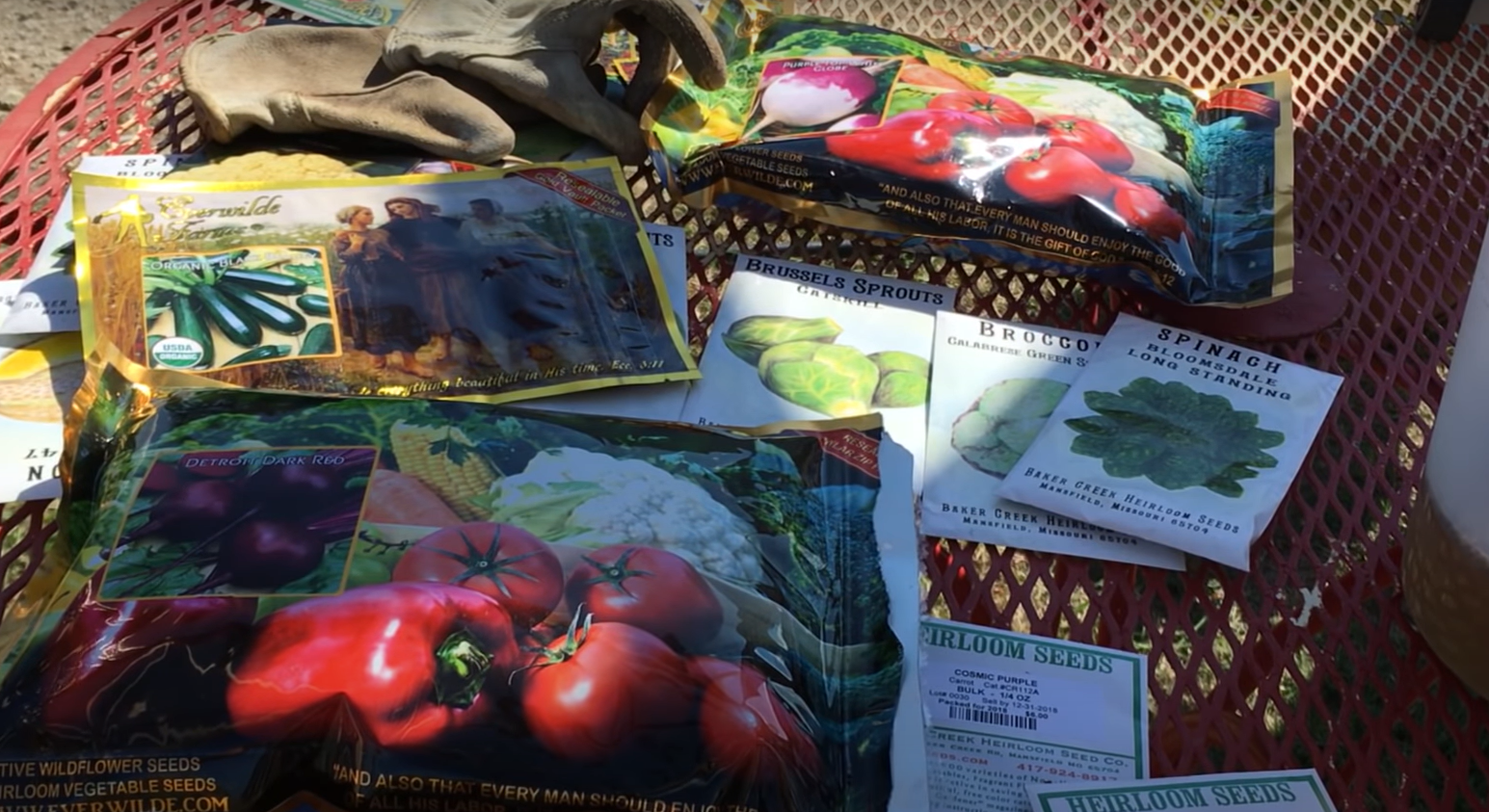 When to Plant a Fall Garden in Texas? GardenProfy