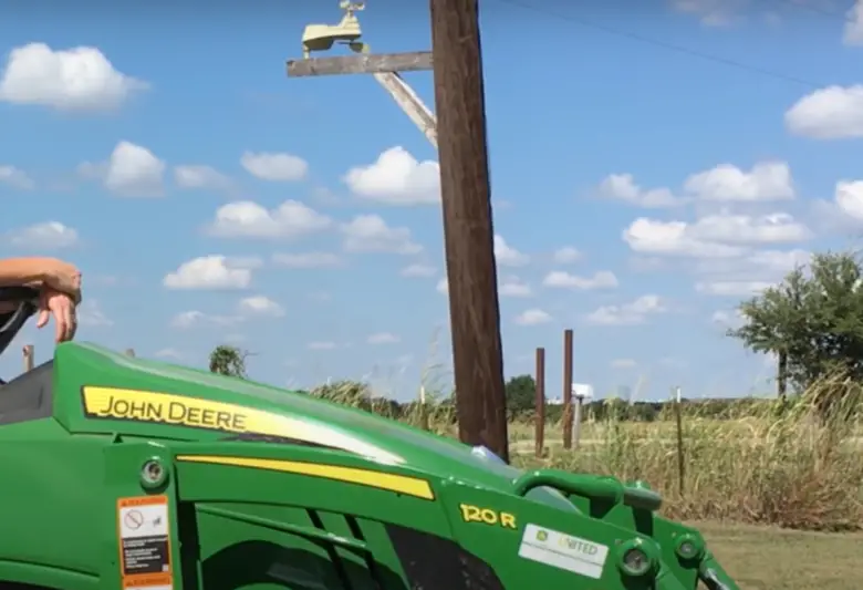 When to Plant a Fall Garden in Texas? GardenProfy