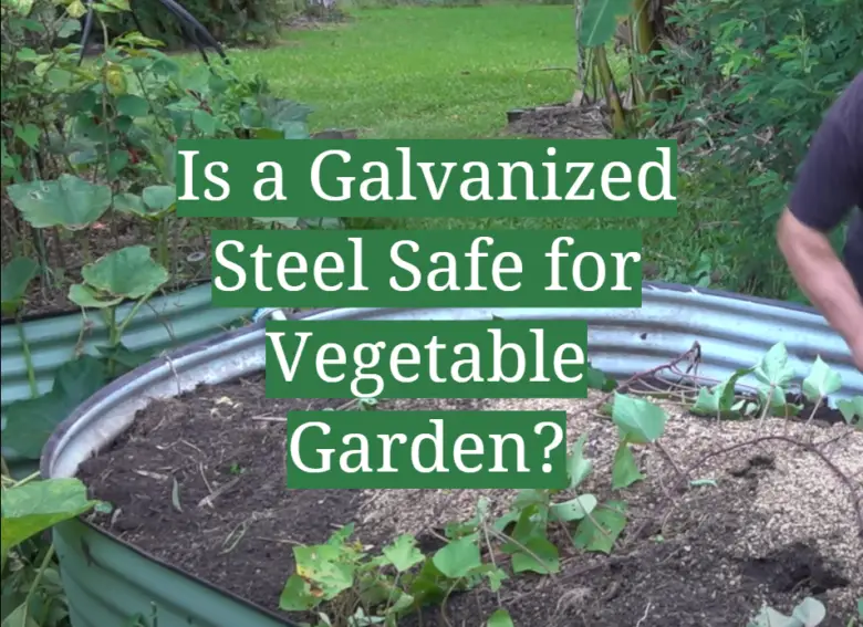 Is a Galvanized Steel Safe for Vegetable Garden? GardenProfy