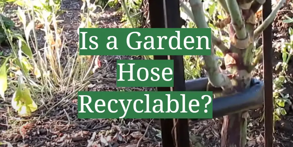 Is a Garden Hose Recyclable? GardenProfy