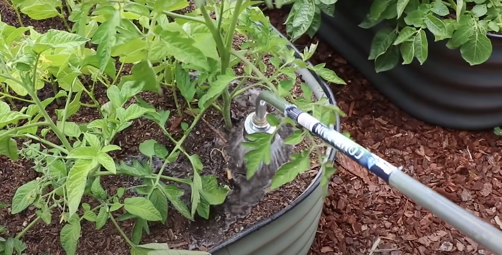 How Long to Water Garden With Soaker Hose? GardenProfy