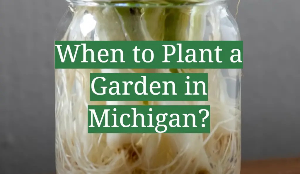 When to Plant a Garden in Michigan? GardenProfy