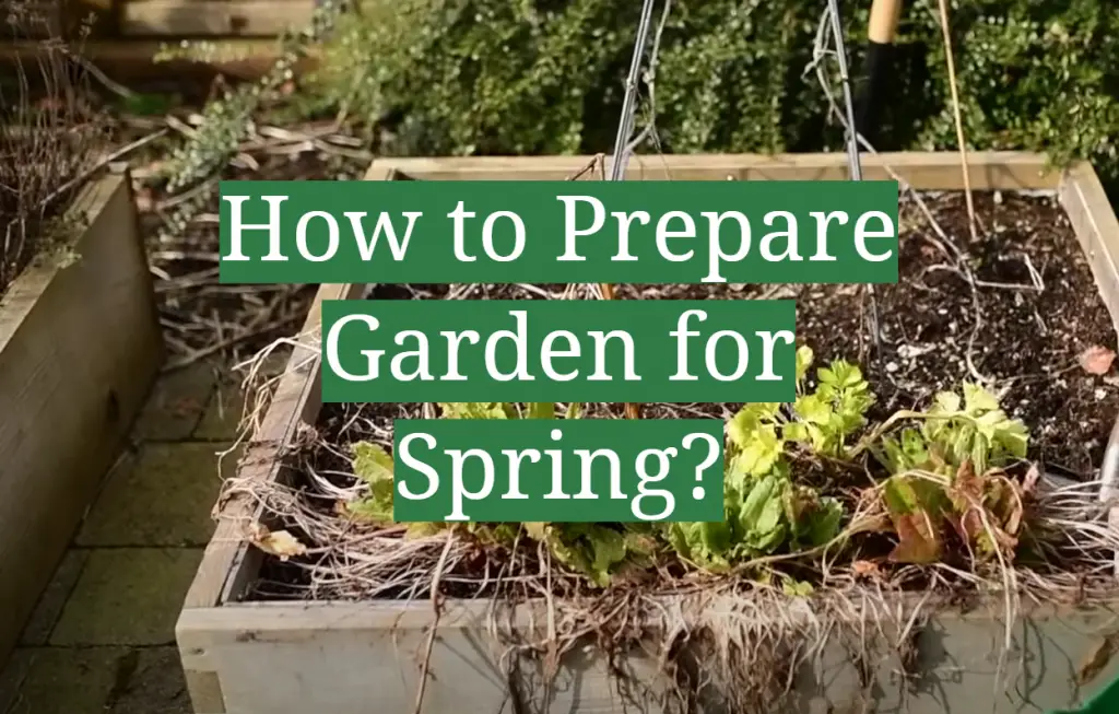 how-to-prepare-garden-for-spring-gardenprofy