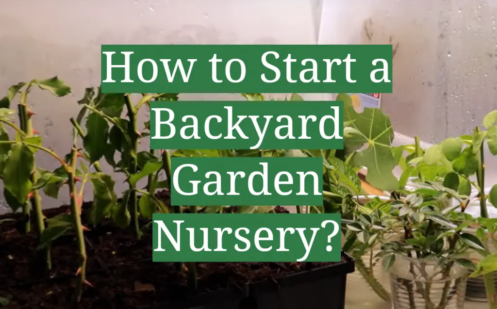 How to Start a Backyard Garden Nursery? - GardenProfy