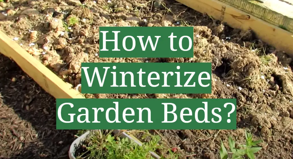 How to Winterize Garden Beds? GardenProfy