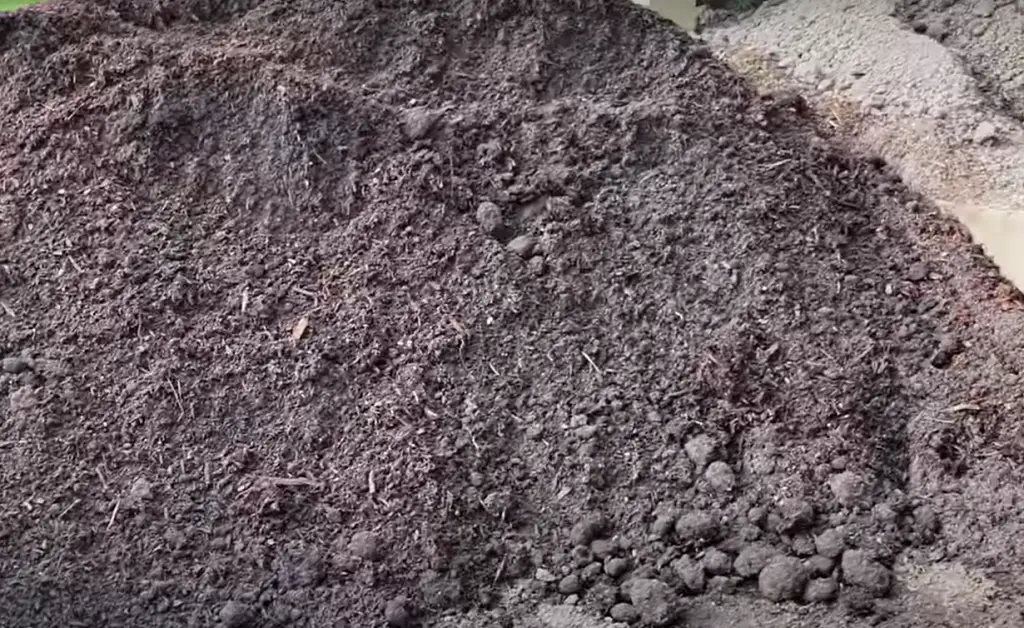 How Do You Know Which Soil Should You Use?