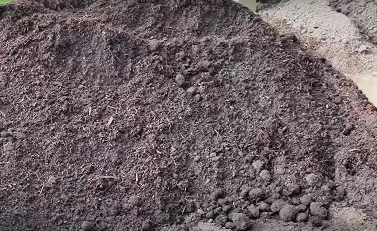Garden Soil vs. Potting Soil What’s the Difference? GardenProfy