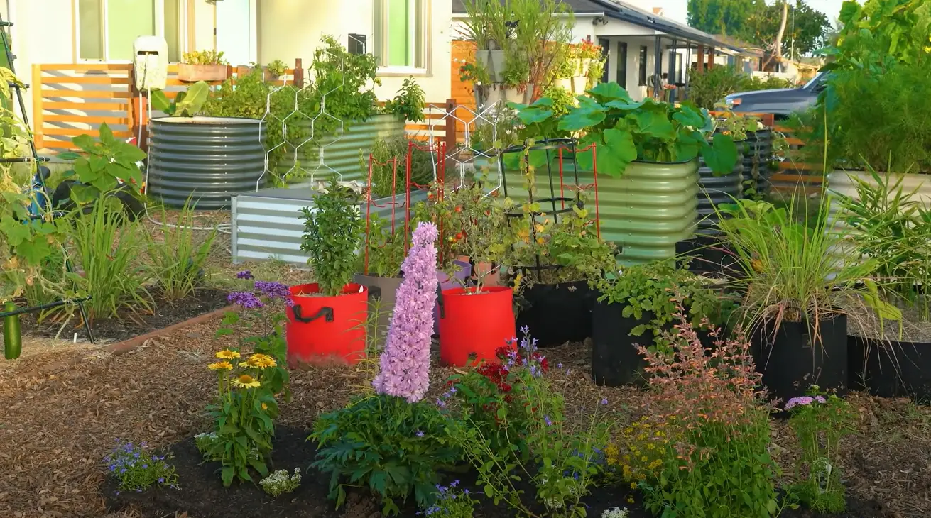 How to Attract Pollinators to Vegetable Garden? GardenProfy