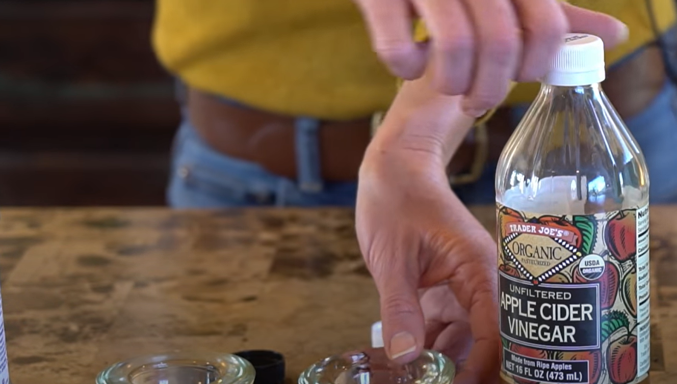 How to Get Rid of Gnats in Vegetable Garden? GardenProfy