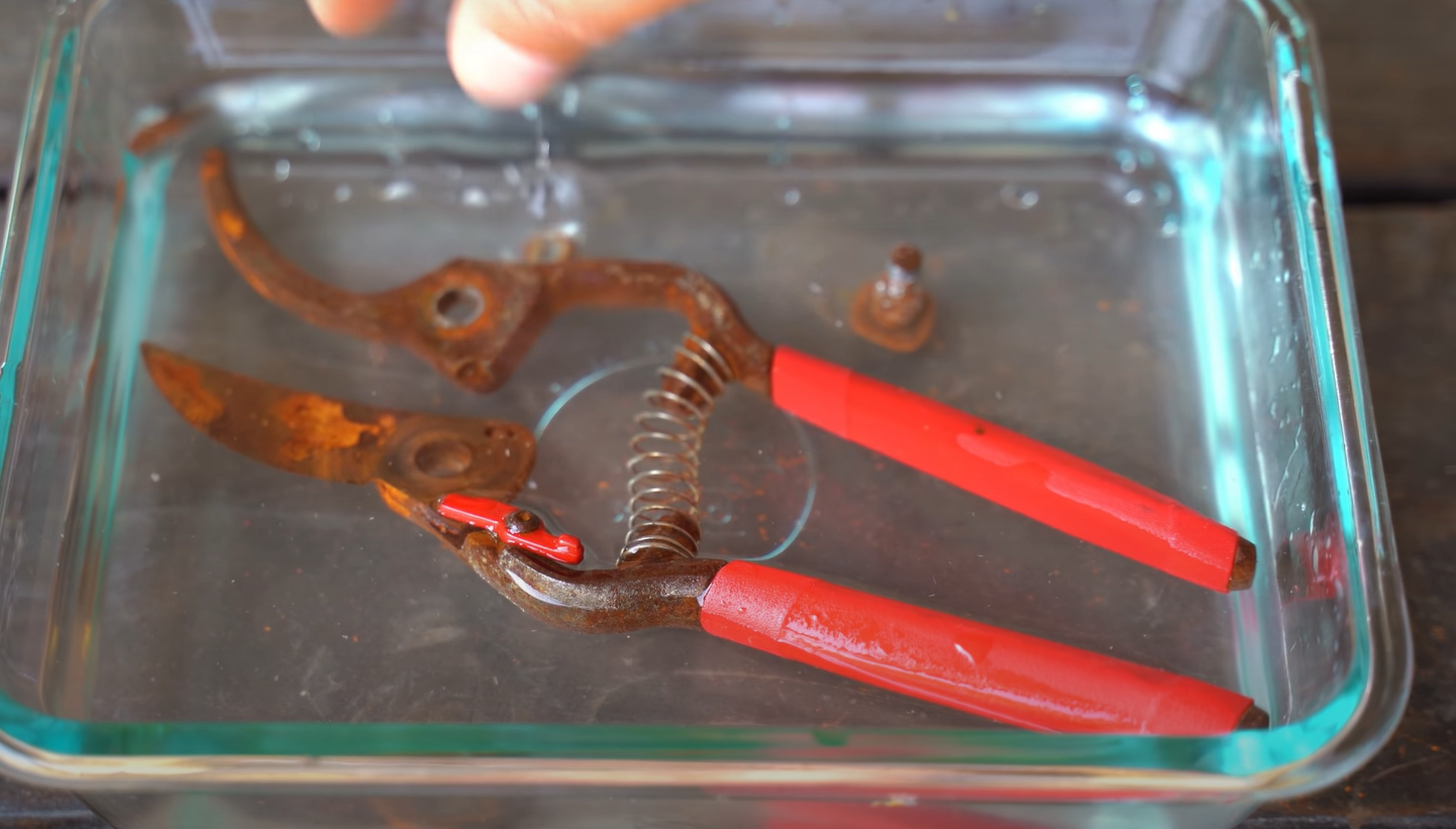 How to Keep Garden Tools From Rusting? GardenProfy