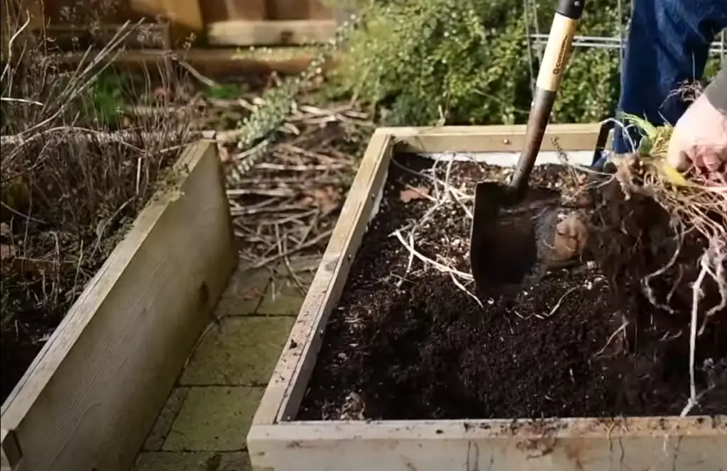 Create a compost bin