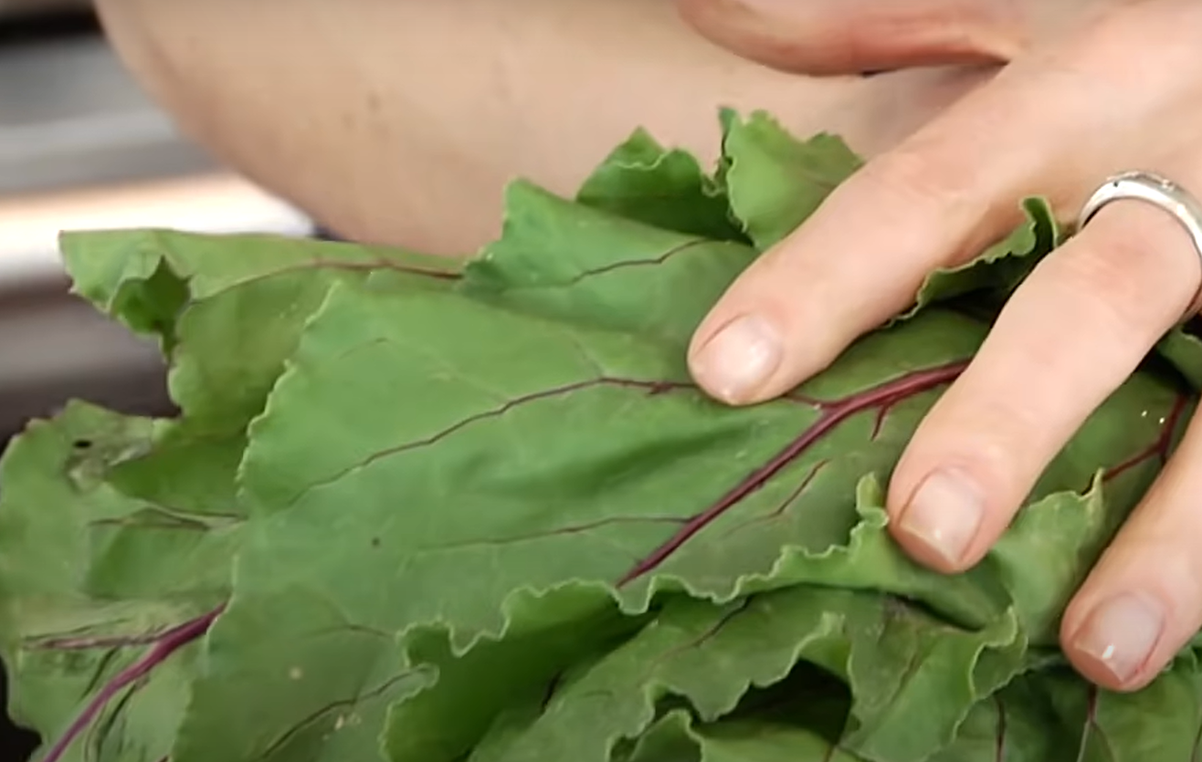 How to Store Beets From the Garden? GardenProfy