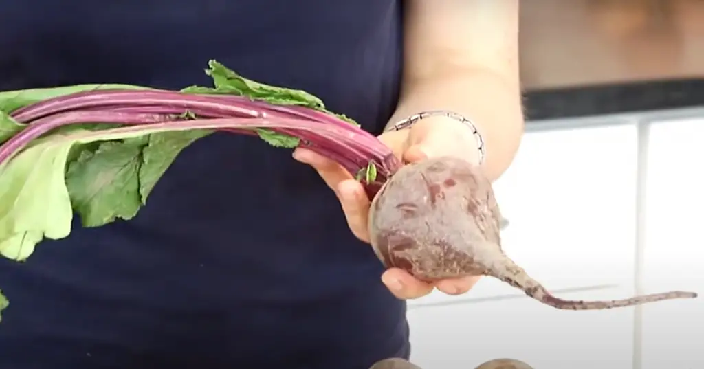 How to Store Beets in a Root Cellar