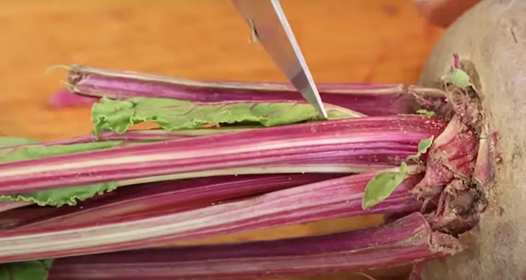What to do with beet leaves