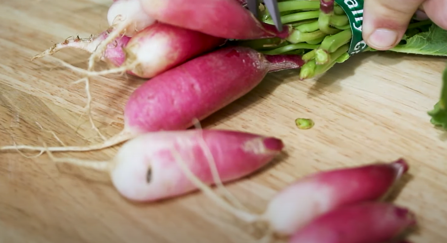 How to Store Radishes From the Garden? GardenProfy